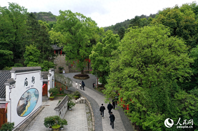 游客们来到灵谷峰准备登山.