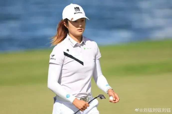 迪桑特在售的高尔夫短袖系列，一般都超过1500元，图源：刘钰微博