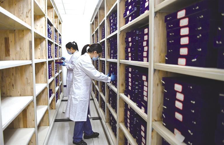 新华社照片简牍,取材竹木,是纸张面世之前记录中华文明的重要