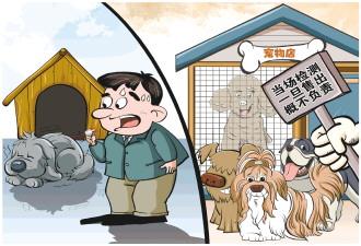 记者调查"星期宠"售卖乱象_新浪财经_新浪网