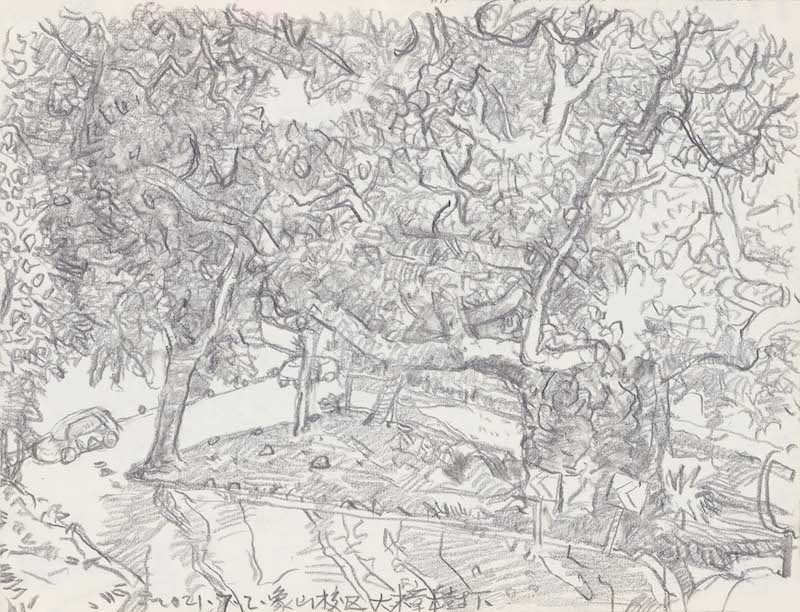 人们把铅笔归于硬笔,与软笔(毛笔)划清界线,有点看不起的样子,这是不