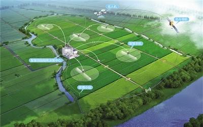 3840亩农田拉满"科技范"(探访)|无人机_新浪财经_新浪网
