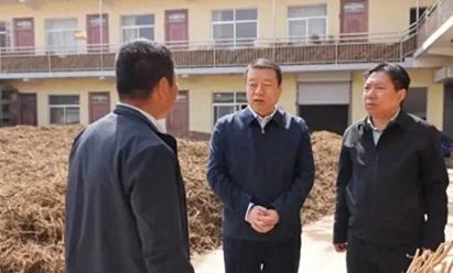 子洲县县长赵贵波调研中药材产业_新浪财经_新浪网