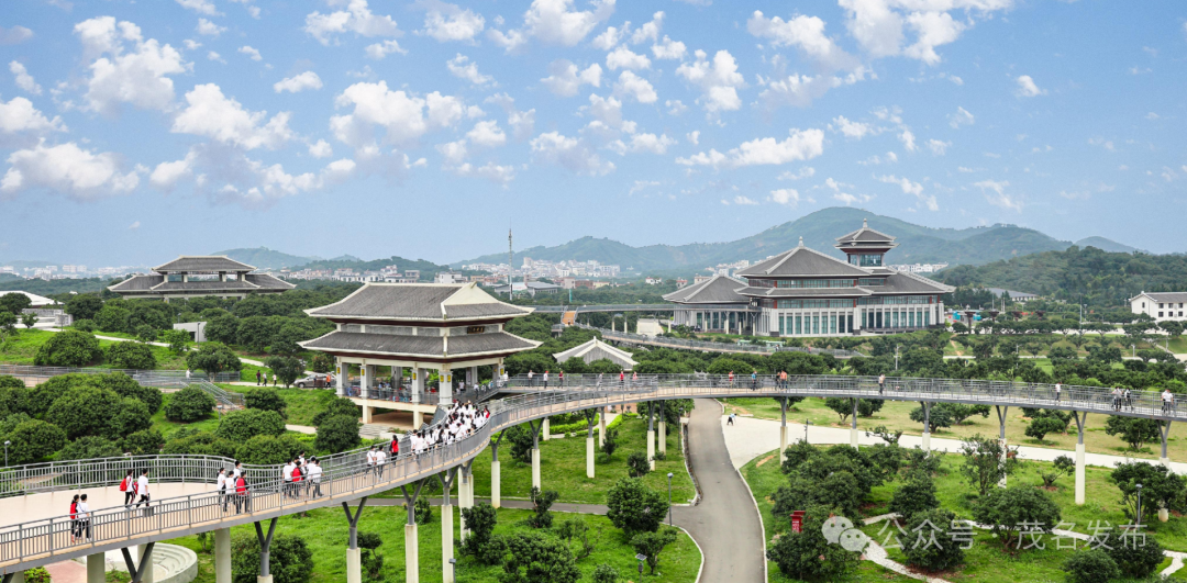 起而行之谋发展⑦ | 茂名:聚焦高质量发展,支持高州提升行动走深走实