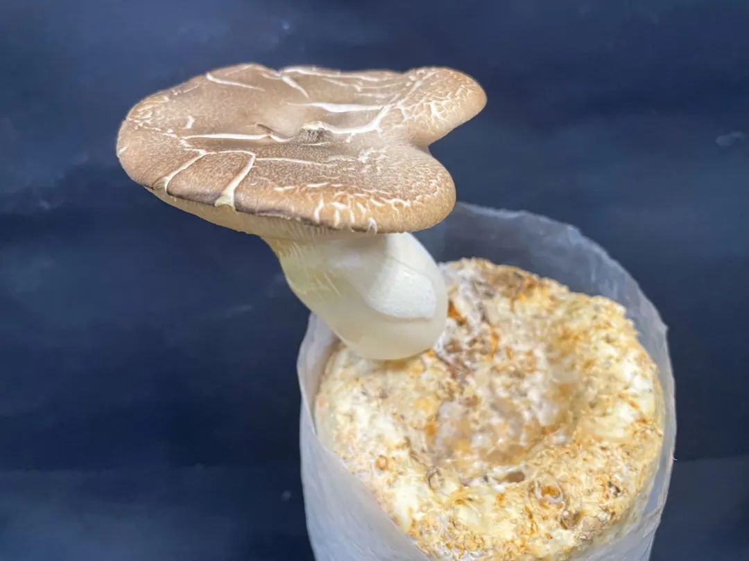 新浪财经_新浪网