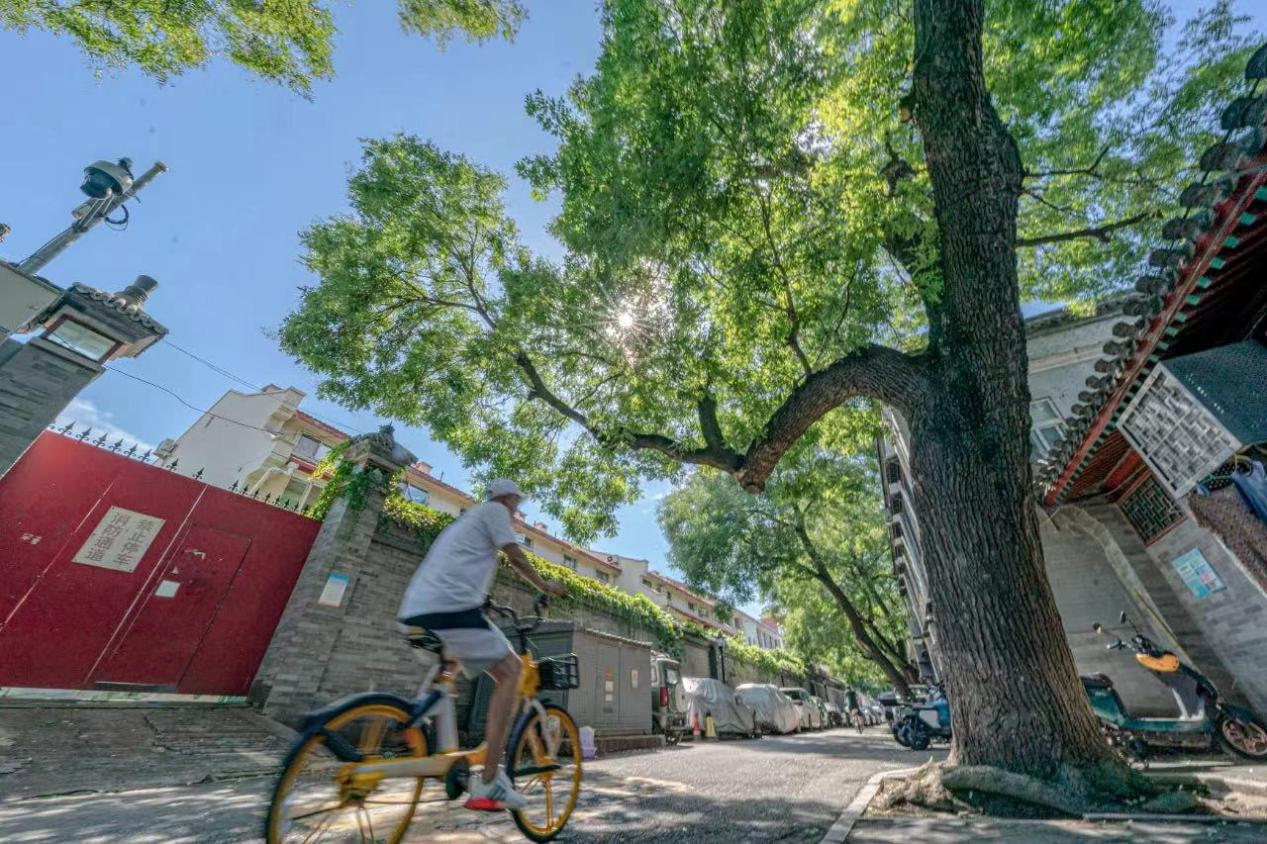 东四街道国家级历史文化街区整治提升工作启动_新浪财经_新浪网