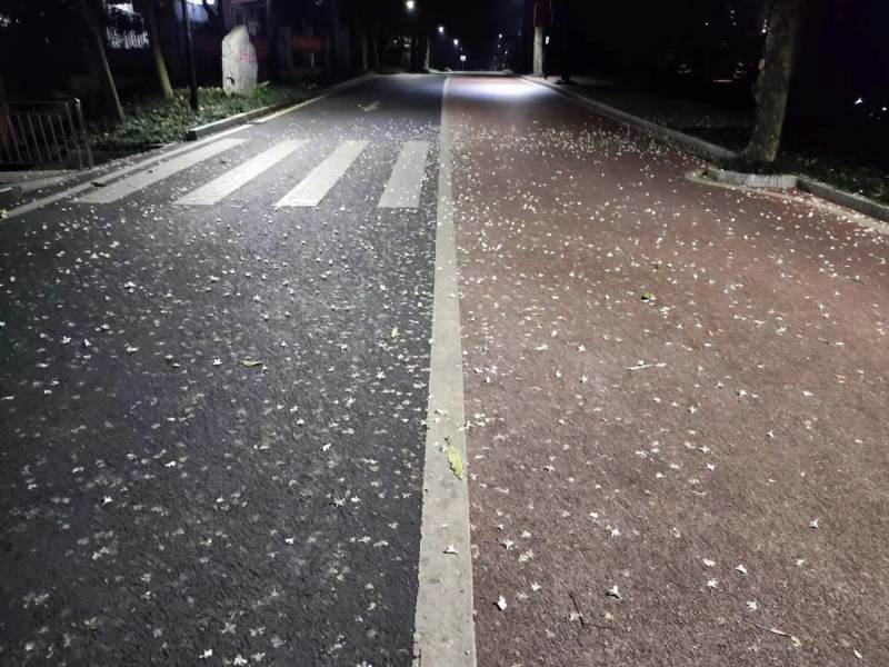 4月9日，淅淅沥沥的春雨过后，广西民族大学校园道路上的点点白花瓣。受访者供图