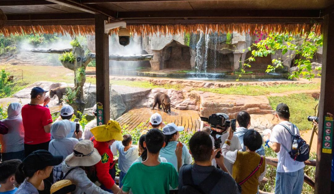 来冯塘绿园赴一场春日之约~有氧徒步,萌宠喂养非遗扎染,陶艺diy户外