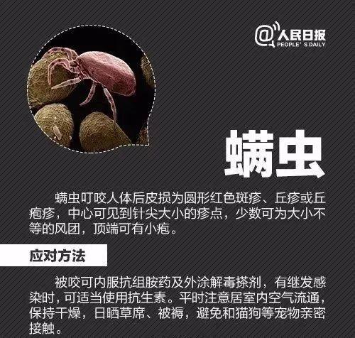 严重或致死!已入侵12省份!曾逼近秦岭|红火蚁_新浪财经_新浪网