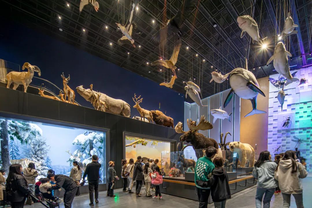 今年的跑友们注意啦,去年保马之后,保定新晋的三座"网红"博物馆,您