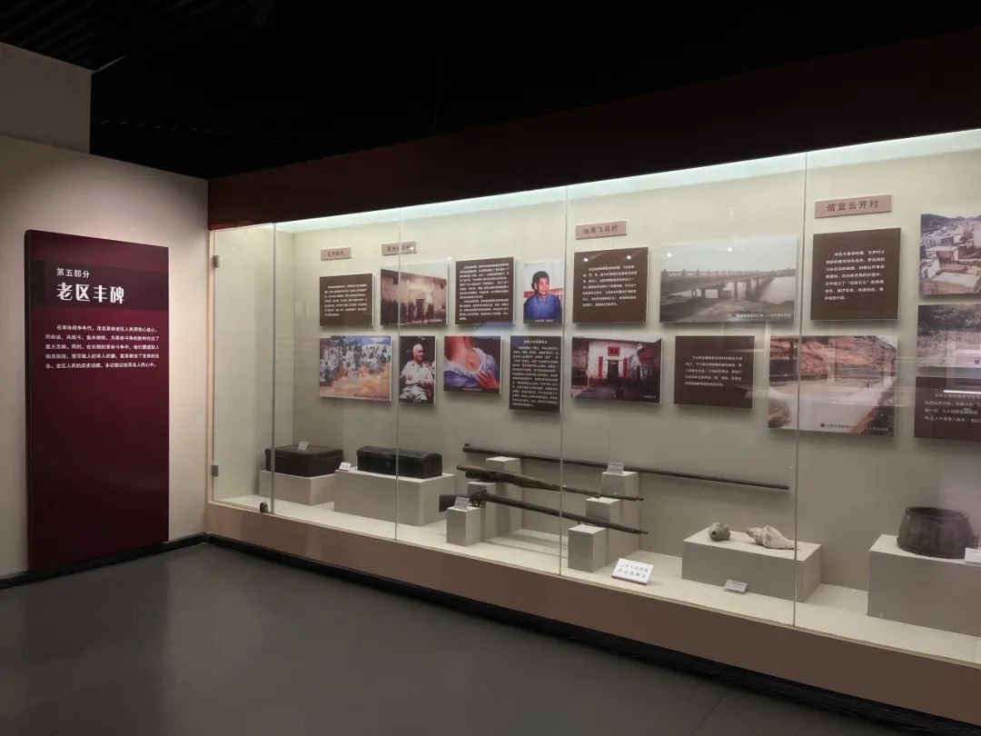 茂名两家博物馆入选广东热门博物馆100强你都去过吗