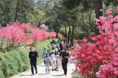 图为游客在长兴县和平镇城山沟景区游玩.