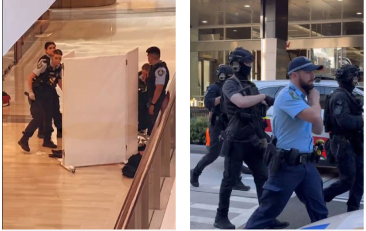 悉尼发生持刀无差别行凶,已致4死|目击者_新浪财经_新浪网