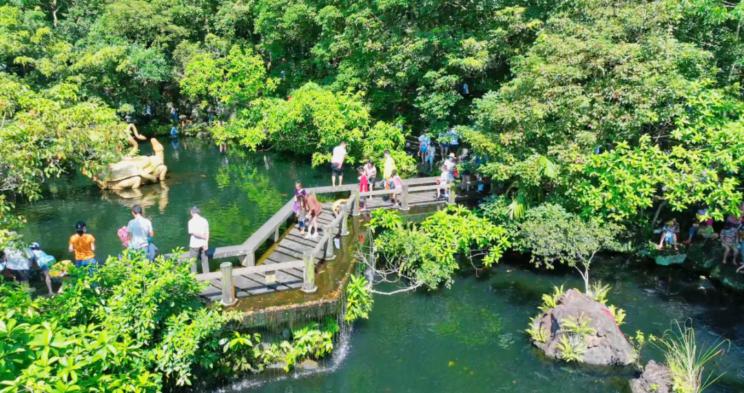 还可享受园区门票优惠活动凭消博会入场券自然景观,了解火山文化欣赏