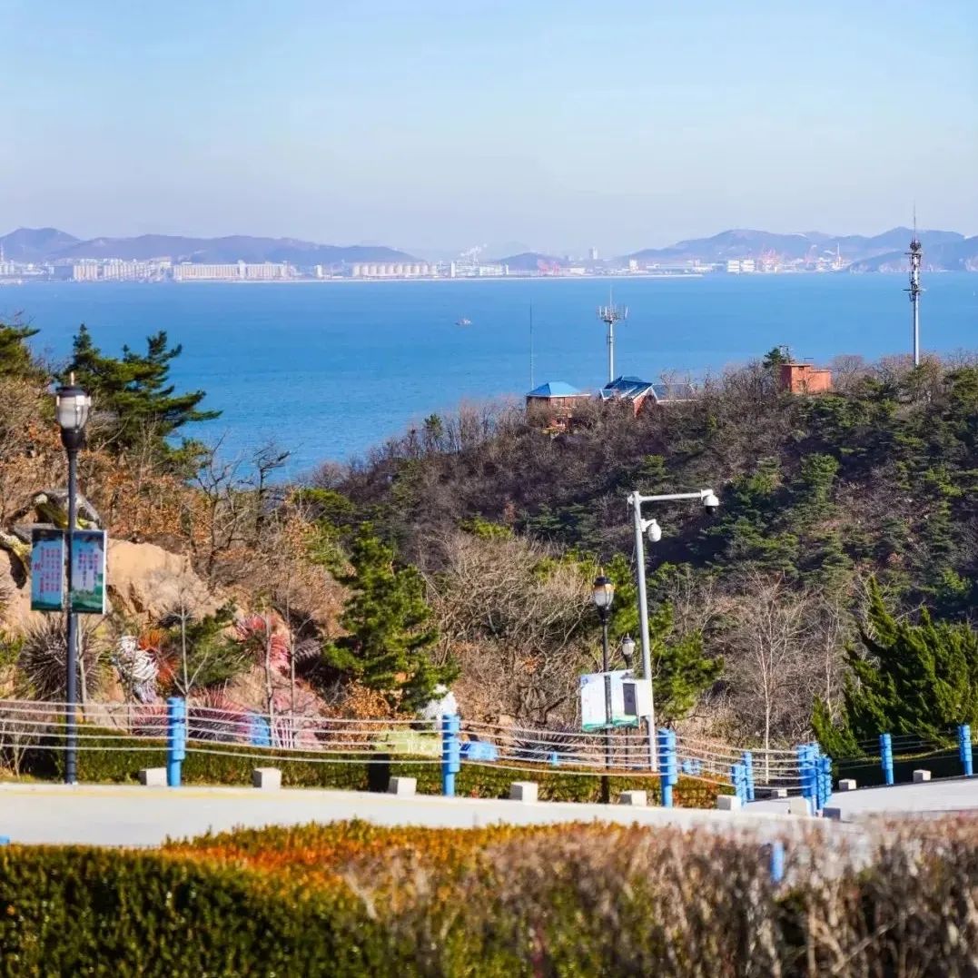 大连市_新浪财经_新浪网