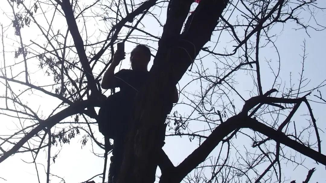 现场有人爬上树。罗晓兰摄