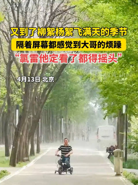 4月13日北京,又到了柳絮杨絮飞满天的季节,隔着屏幕都感觉到大哥的烦躁!_新浪新闻