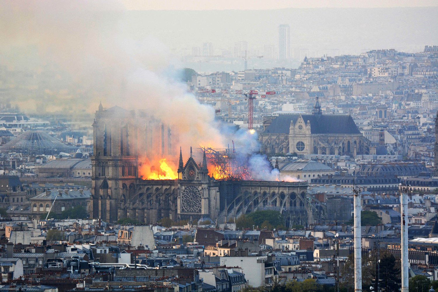 图说|"巨石交响乐"涅盘重生:巴黎圣母院五年修复路|巴黎圣母院_新浪财