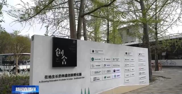 目前,天星村数字游民社区已拥有创舍,匠坊,在野三处空间载体,公共办公