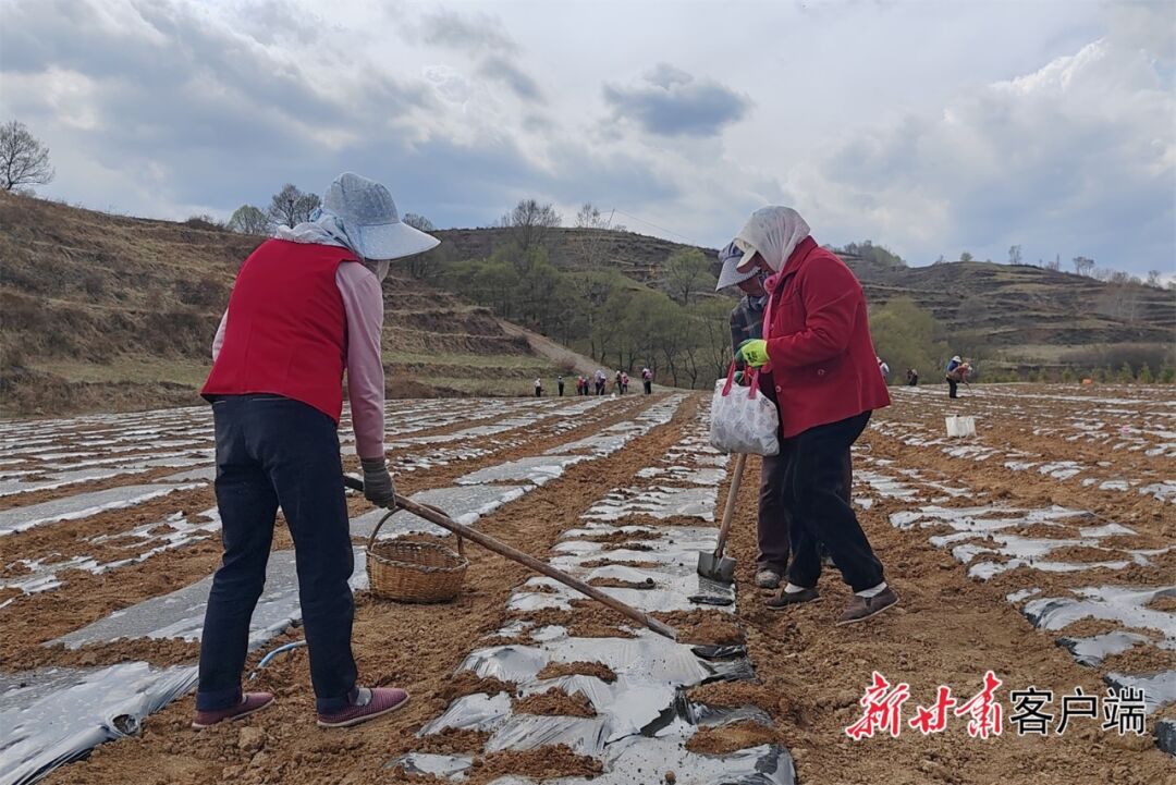 华亭:综合治理出招 "无主"矿山覆绿|平凉市_新浪财经