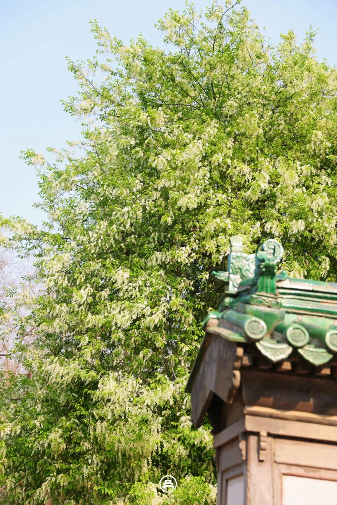 龙年龙月,在天坛中写一笔春字|龙_新浪财经_新浪网