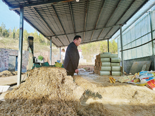 发展产业有"牛"劲_新浪财经_新浪网