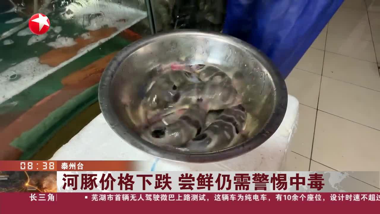 河豚价格下跌 尝鲜仍需警惕中毒