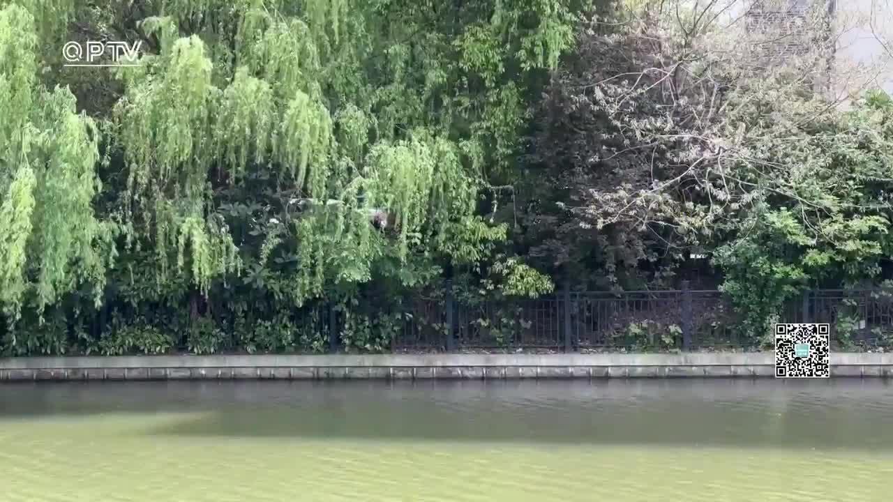 今日阳光重现天气回暖 明起切换"晴雨相间"模式