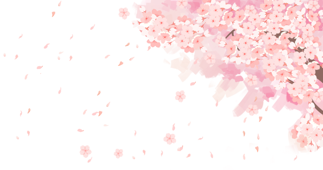 【探索】今日开启,7天限定"落樱地毯"美景,就在这里→|樱花_新浪财经