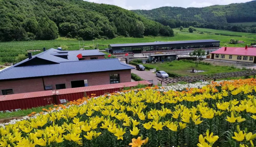 这就是阿城!|哈尔滨市_新浪财经_新浪网