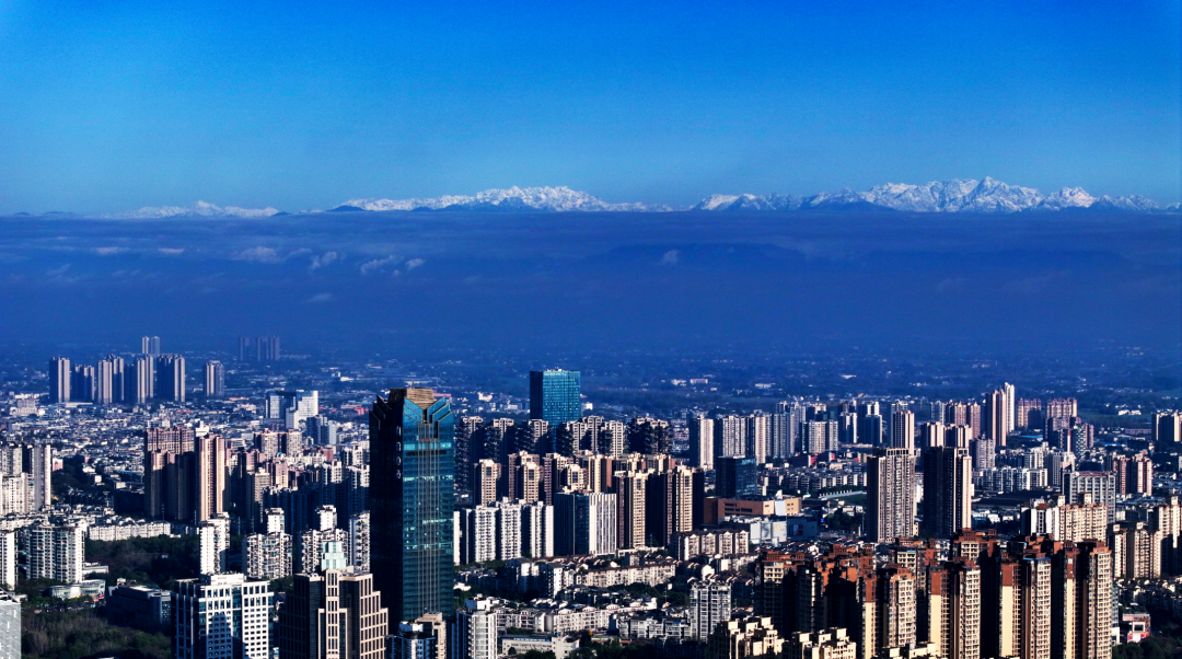 成都50岁老粮仓变身"智慧仓"_新浪财经_新浪网