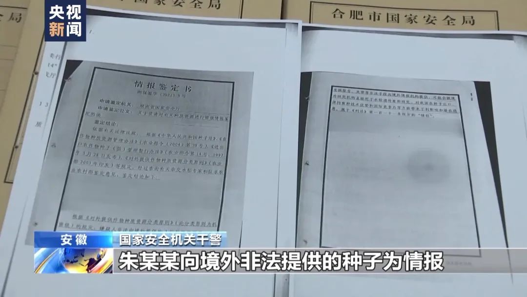 案件详情公布_新浪财经_新浪网