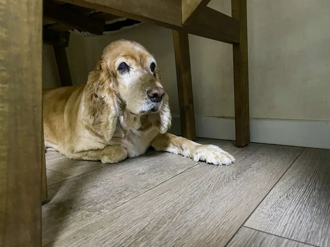 这种病可防不可治_新浪财经_新浪网