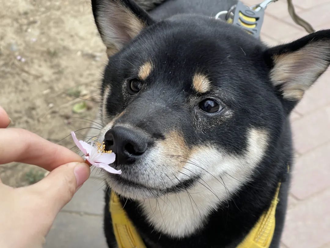 这种病可防不可治_新浪财经_新浪网