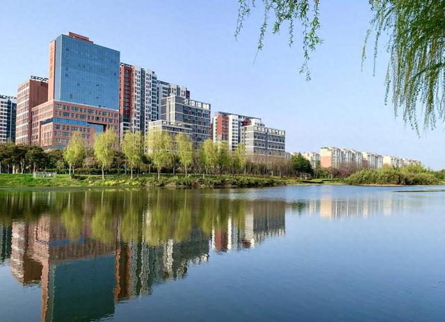 近日,在春日暖阳的映射下,河南省许昌市东城区河畔两岸杨柳依依,花木