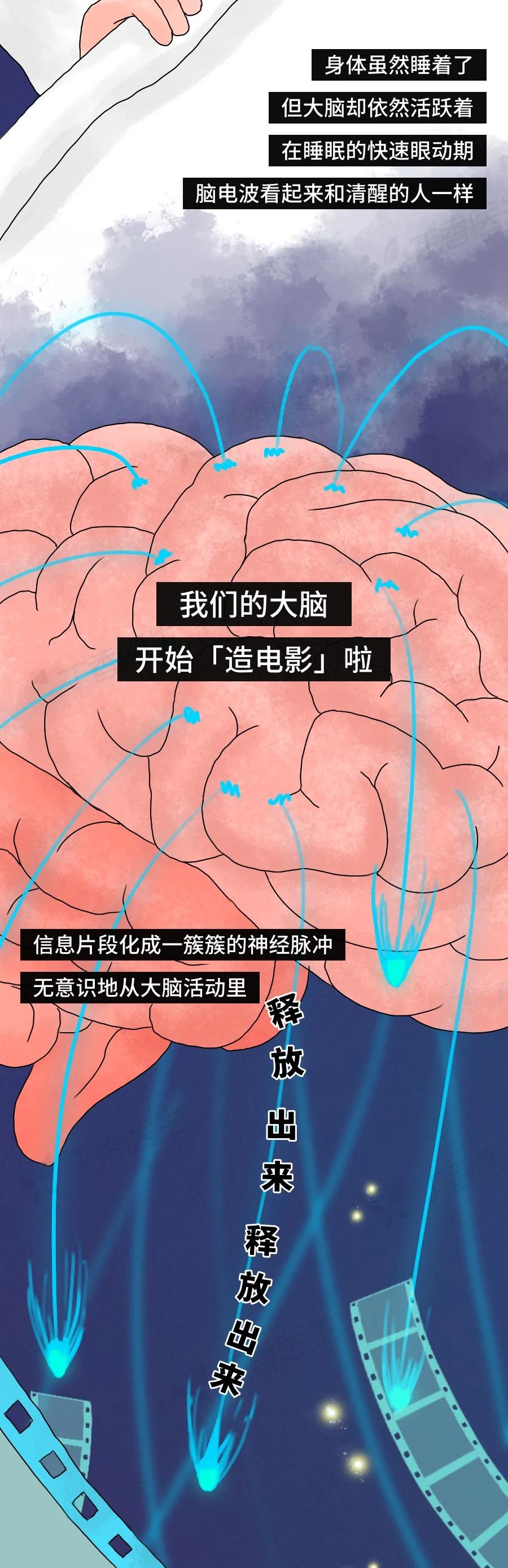 梦到坠落被追赶暗示着什么隐藏在梦境里的真相是