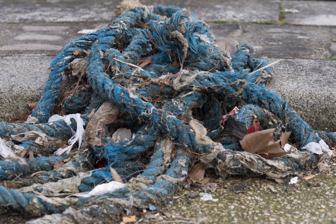 当地时间2024年2月14日，法国巴黎，塞纳河岸边被丢弃的绳子和垃圾。
