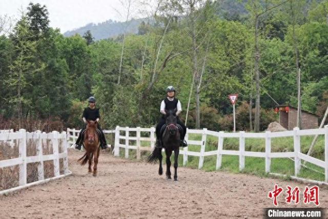 游客在春天里马术俱乐部体验骑马。田双双 摄