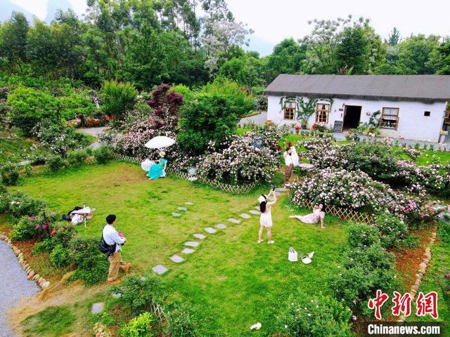 图为游客在“哈尼花园”游玩(无人机照片)。 秦熙 摄