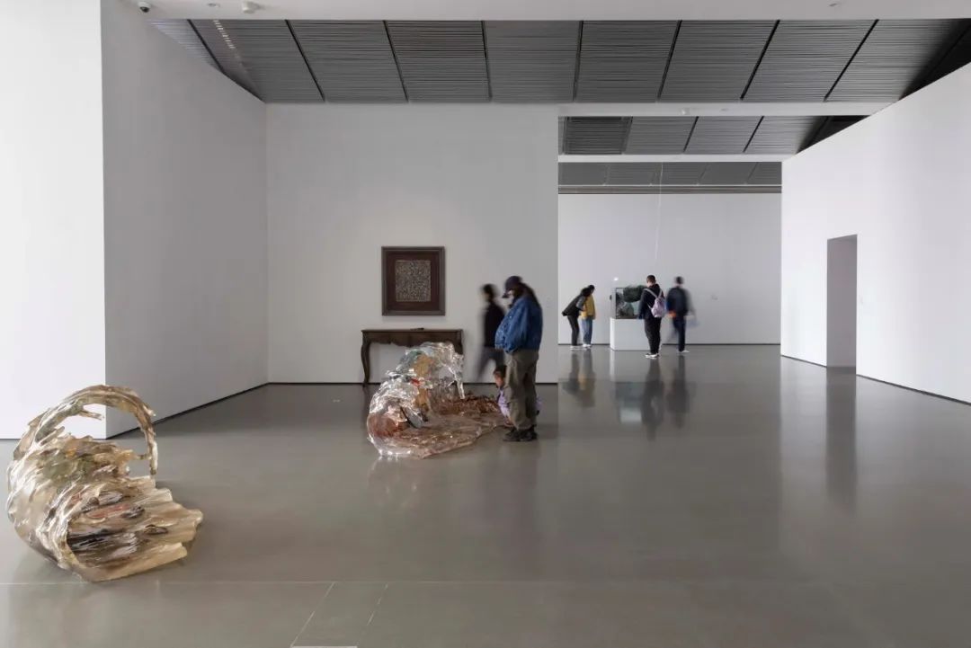 上半年最有意思的展览被我找到了