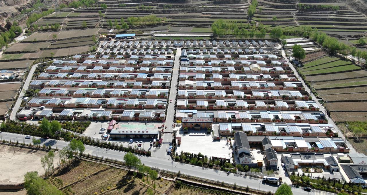 青海:描绘产业振兴的乡村画卷