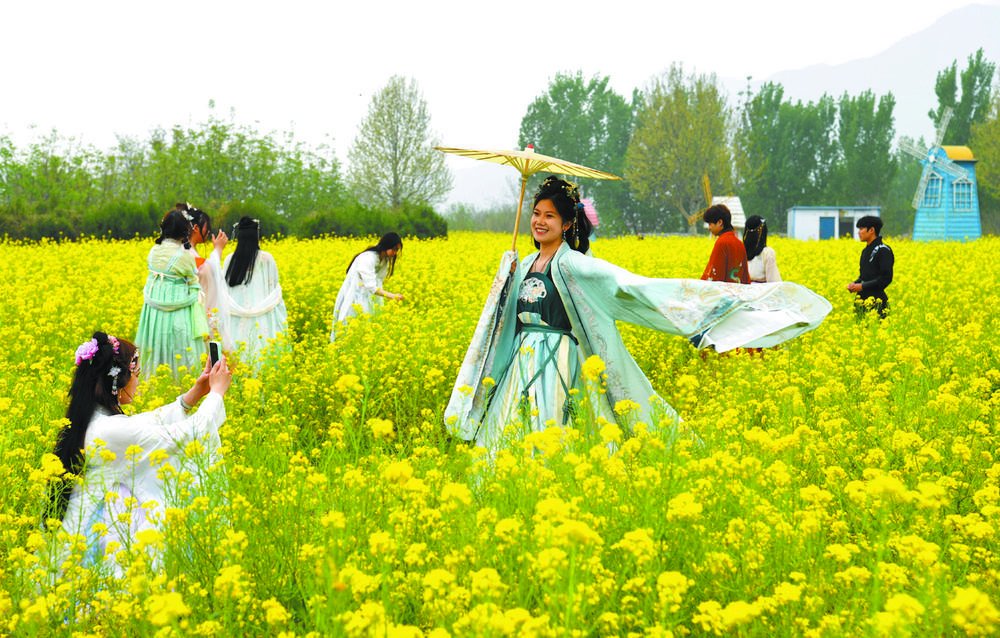 春日里,石家庄市铜冶镇岭底村的百亩油菜花争相绽放,金黄的花海如诗