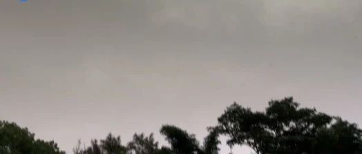 长约600公里的飑线正横扫广东！气象部门重要提醒→|飑线|气象部门|天气_新浪新闻