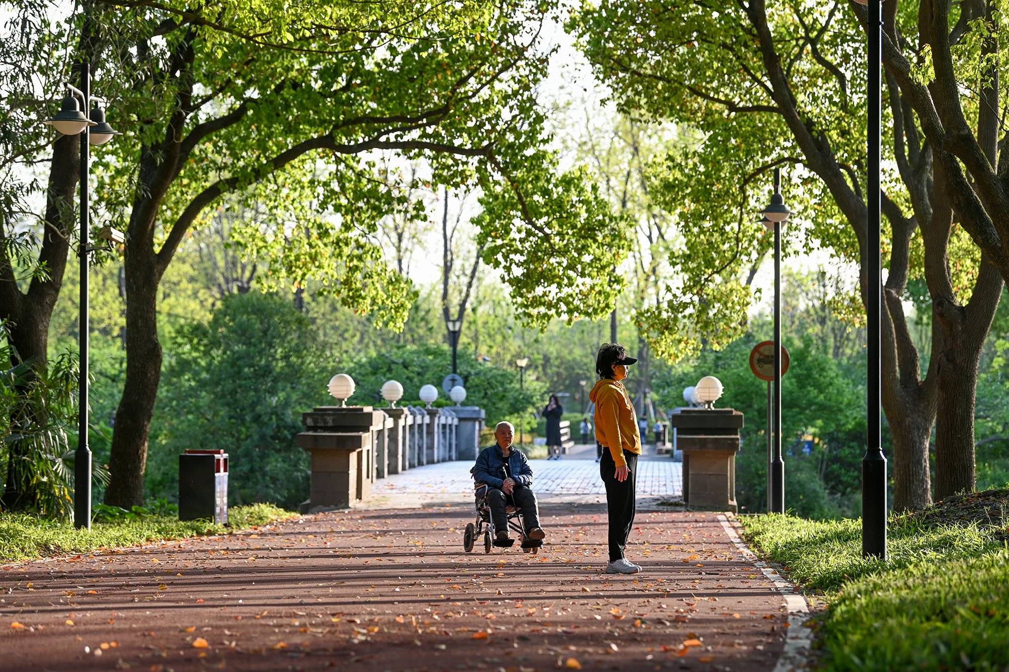 城事上海走向公园城市世纪公园24小时开放试运行