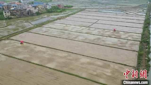 湖南祁阳推广水稻生产全程机械化。祁阳市委宣传部供图