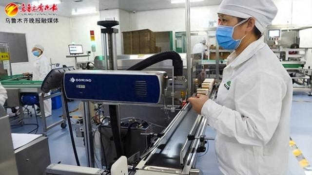 在新疆银朵兰药业股份有限公司生产车间,工作人员正生产药品.