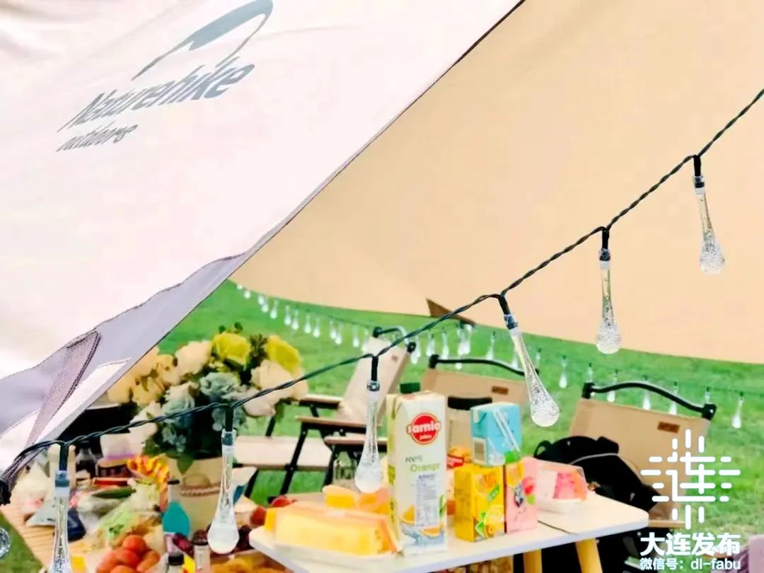 来大连,太赚了!