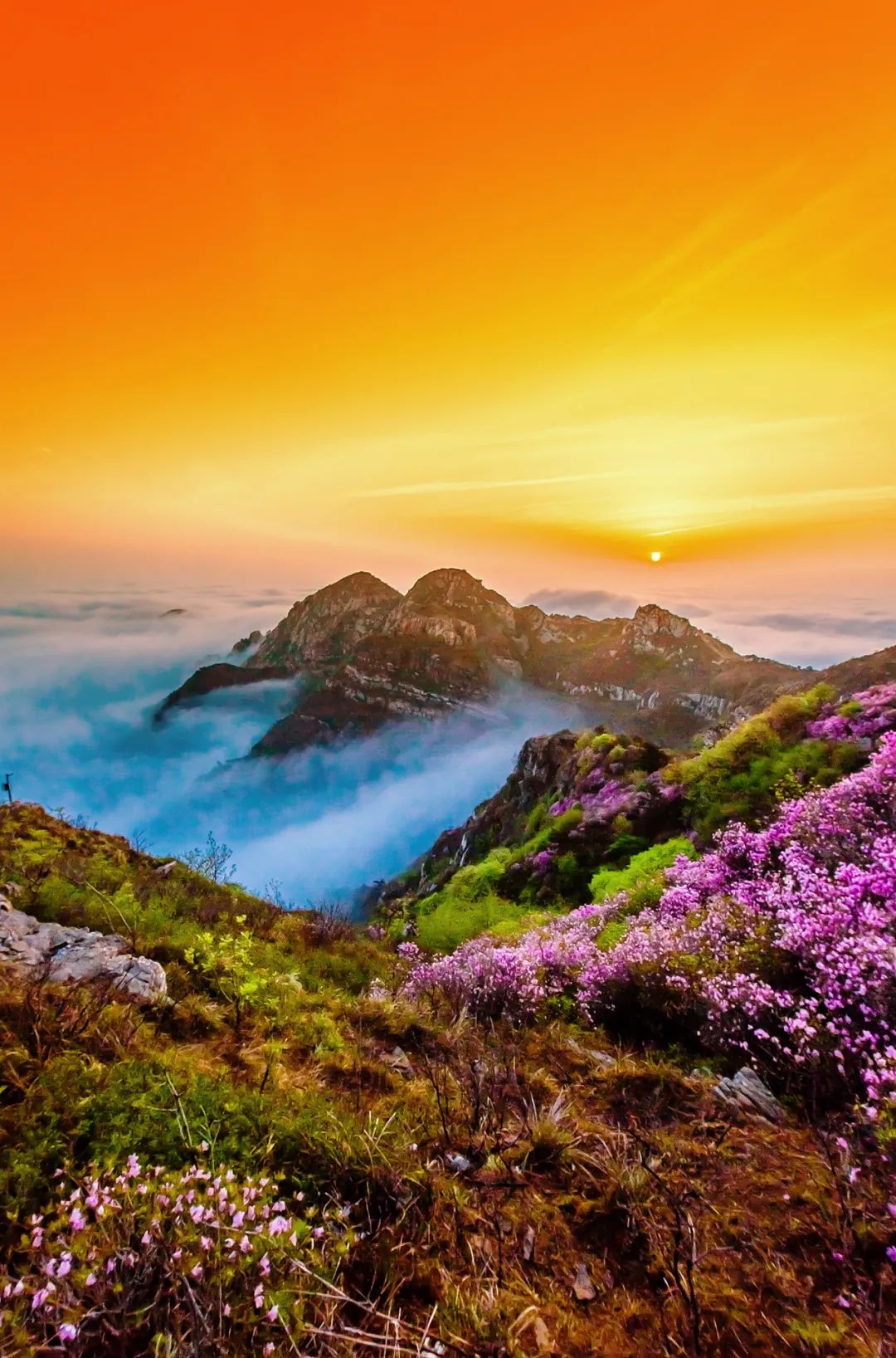 具体包括唱响春日大黑山活动,大黑山登山运动会,大黑山杜鹃花摄影展