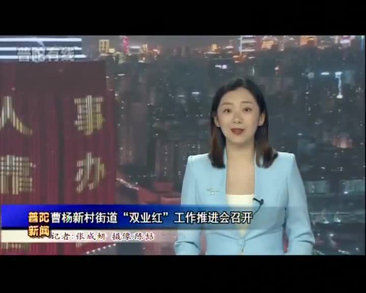 曹杨新村街道"双业红"工作推进会召开