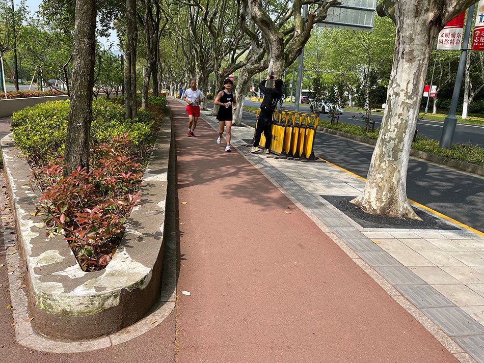 "公园城市"在魔都:绿意与街区融合,大自然24小时可及